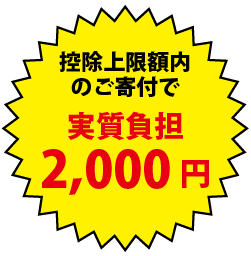 実質負担2,000円